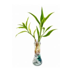 Water Deco Plant with Glass Vase #1